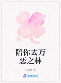 ����ȥ���֮��С˵