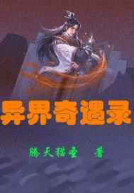 �������¼С˵