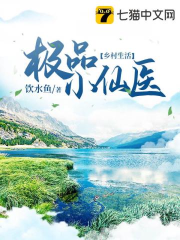 ��ƷС��ҽС˵