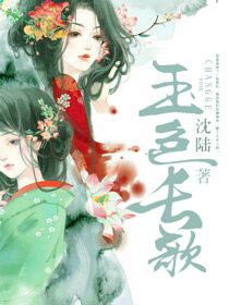 ��ɫ����С˵