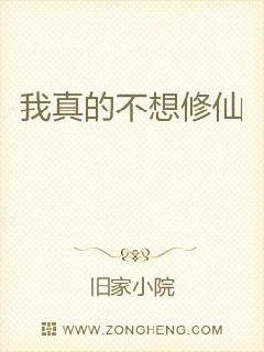 ����Ĳ�������С˵